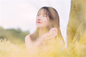 夜上海技术交流与研发投资的互动