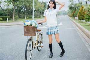 上海国的可再生能源发展现状